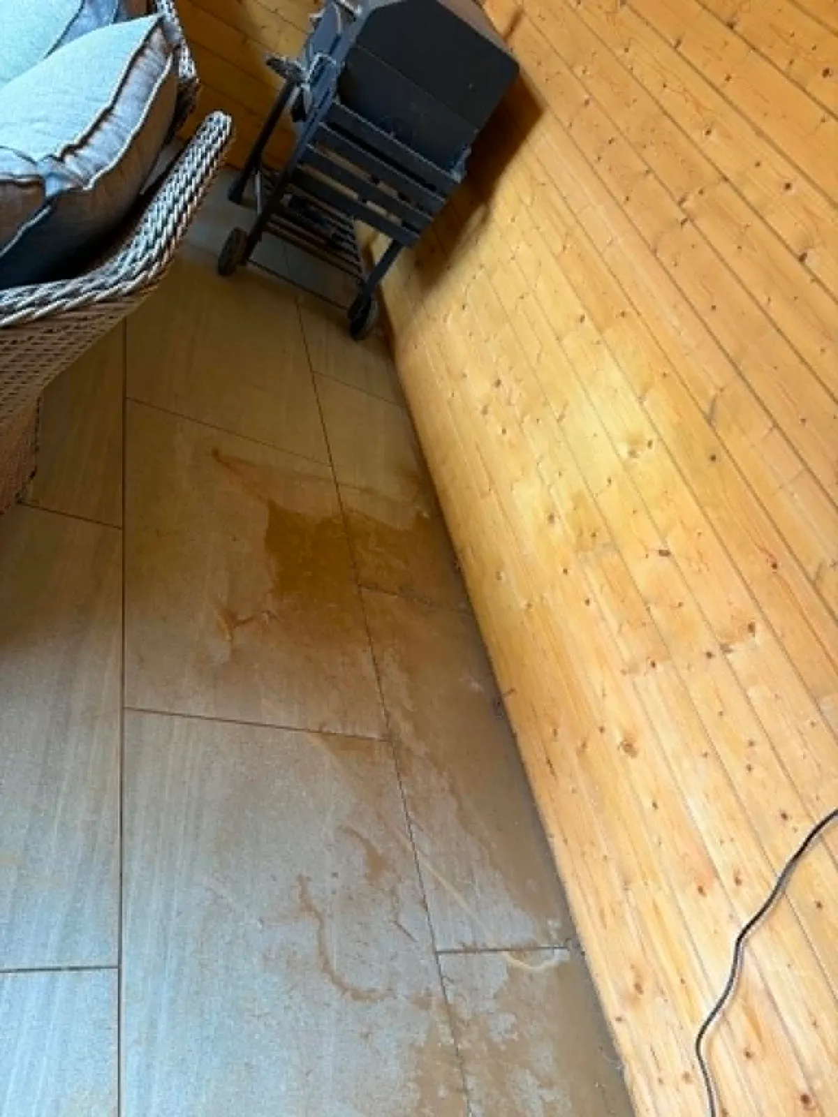 Dust inside a garden shed